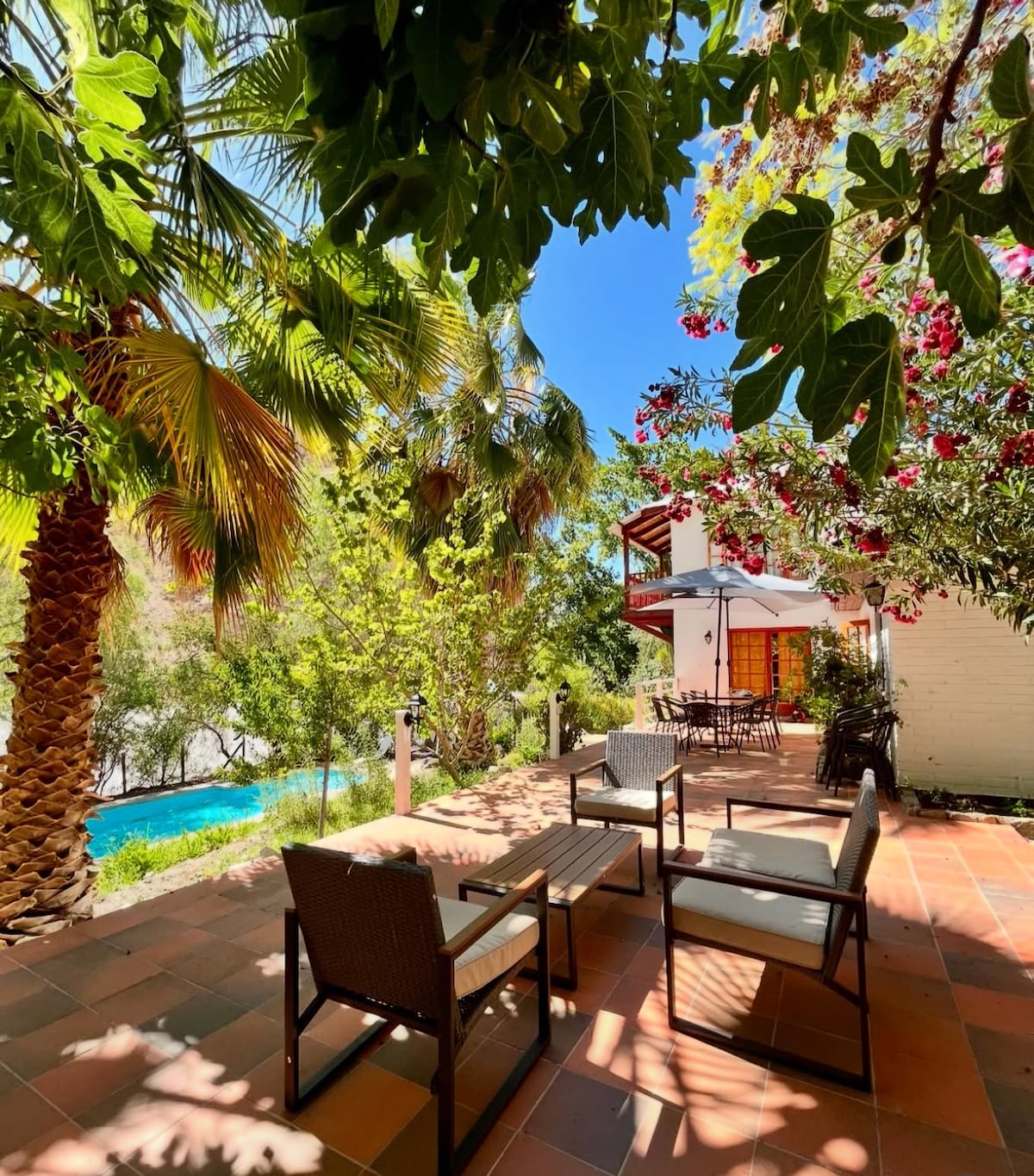 An outdoor seating area is surrounded by lush greenery and flowering plants, featuring a set of four chairs and a small table. A swimming pool is visible in the background, with bright sunlight enhancing the vibrant landscape.