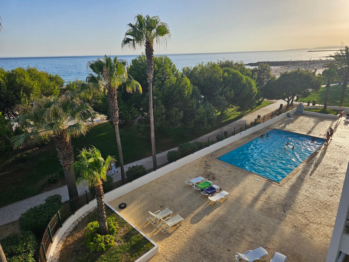 A view of a serene outdoor pool area surrounded by lush green palm trees. Lounge chairs line the poolside, and the ocean can be seen in the distance under a clear sky. The scene captures a peaceful landscape merging the pool with nature.