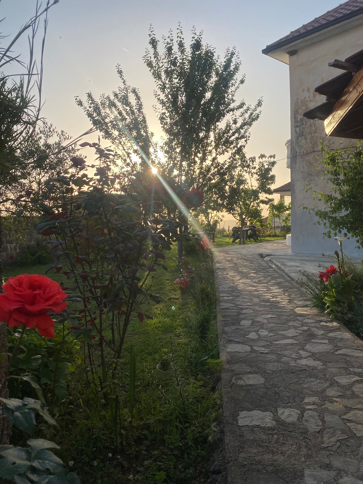 A stone pathway bordered by lush greenery leads towards the house, with blooming red roses adding color to the scene. The soft glow of the sunset is visible in the background, creating a serene and peaceful ambiance.