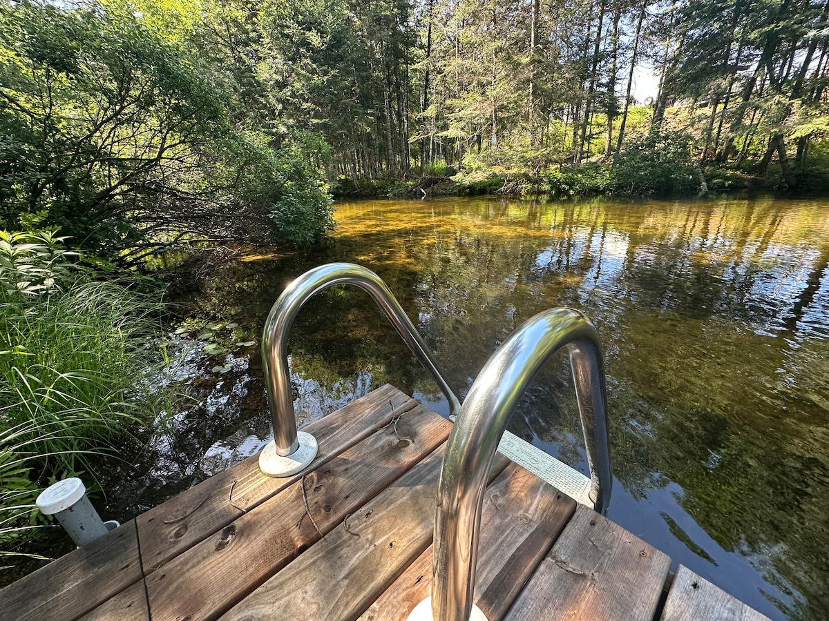 A wooden dock extends into a clear, calm stream, surrounded by lush greenery and tall trees. The sturdy metal handrails are visible, providing support for accessing the water. Sunlight filters through the leaves, reflecting softly on the water's surface.