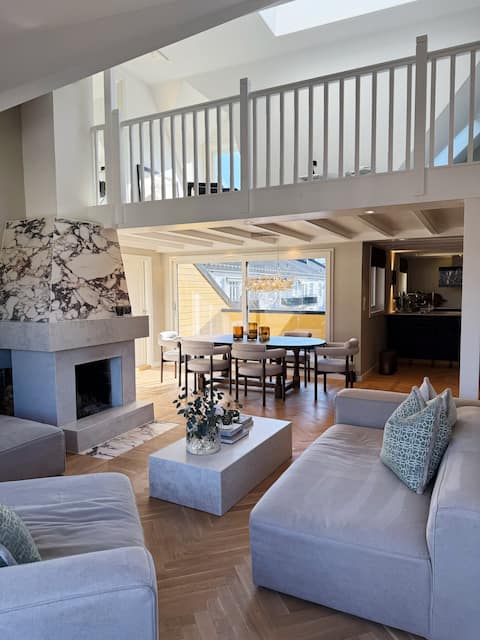 Luxury penthouse-170kvm-2 Rooftops