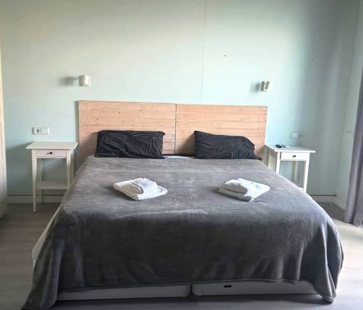 Habitación 1