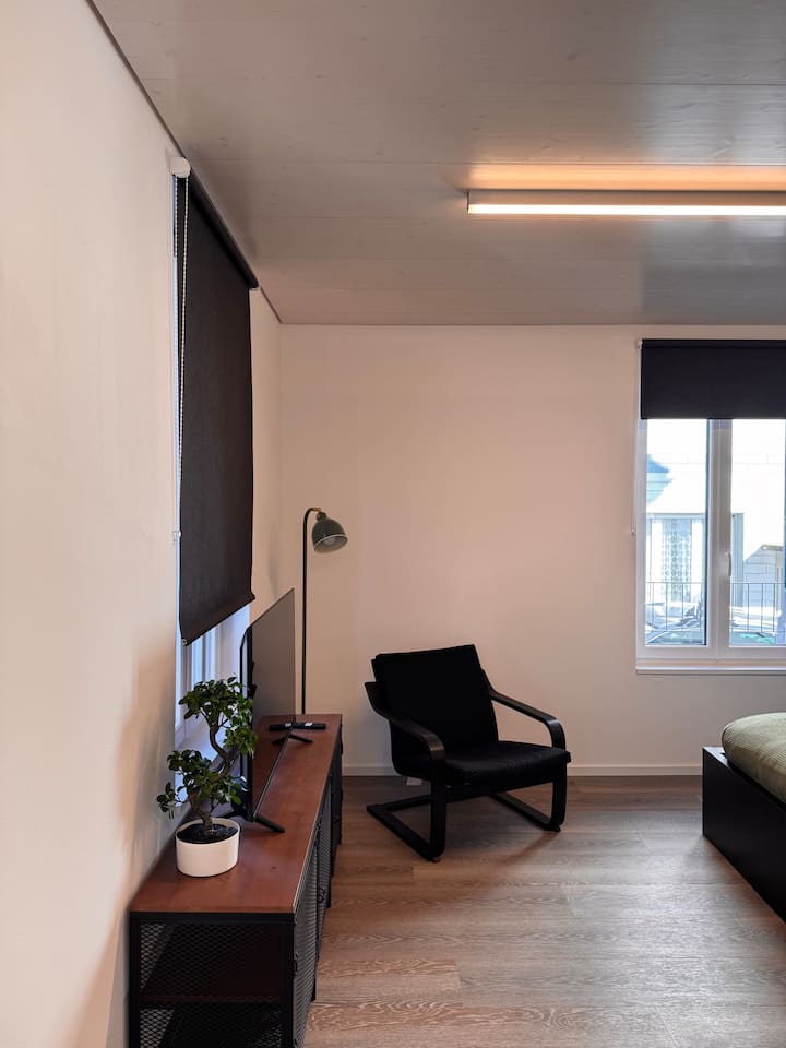 Wohnung An Top-lage 1 - 瑞士