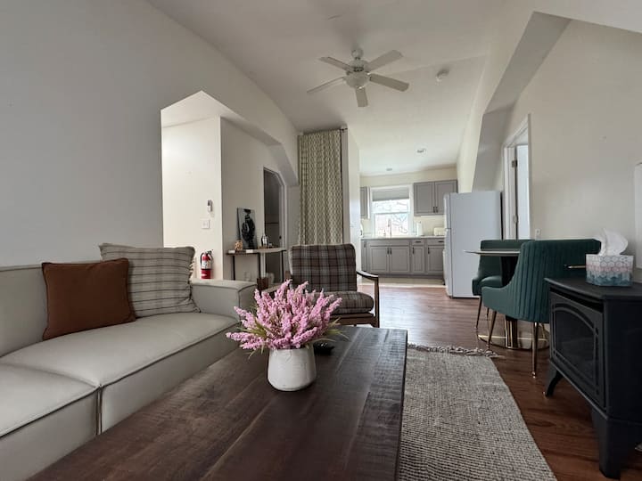 Bright 1-br Apartment In Downtown Douglas - 索格塔克