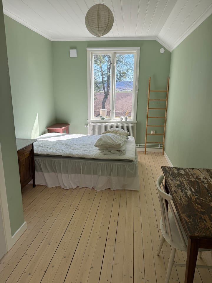 Habitación 5