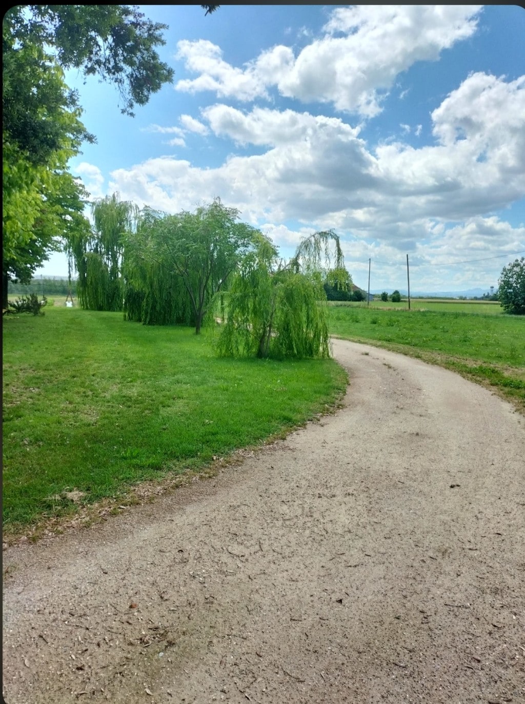 A winding path meanders through lush green grass, bordered by softly swaying willow trees. The background showcases expansive fields under a bright blue sky, filled with fluffy clouds.