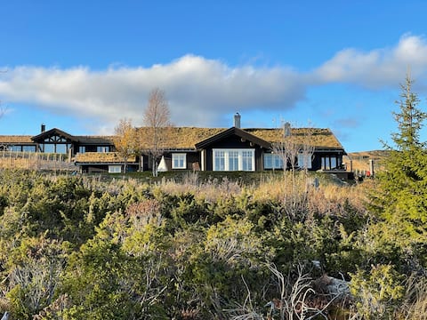 Cabin on Golsfjellet