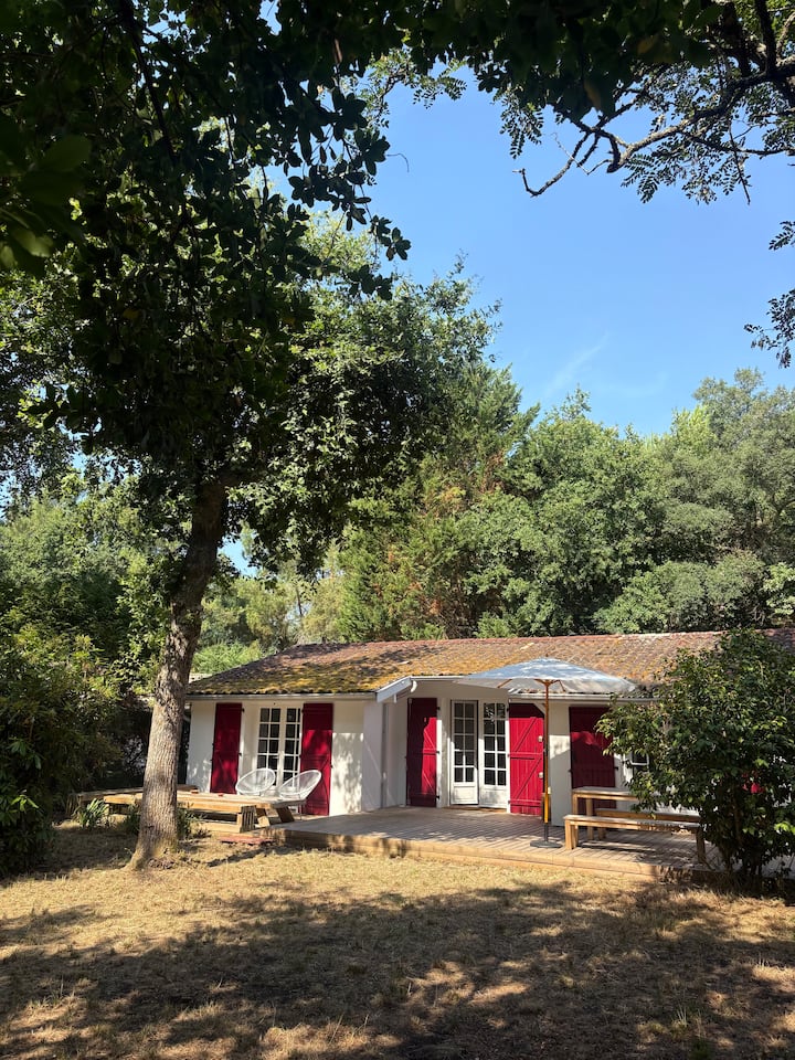 Maison Dans Les Pins - Seignosse