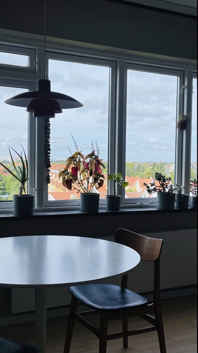 A dining area is captured with a round table and a wooden chair, situated near large windows. Various potted plants are placed on the windowsill, framing a view of rooftops and greenery outside. A pendant light hangs above the table, adding functional decor.