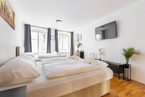 homy Downtown Elegance