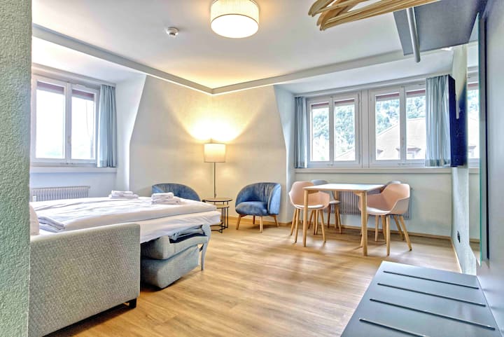 Bank House Apartment Xl 403 - Interlaken