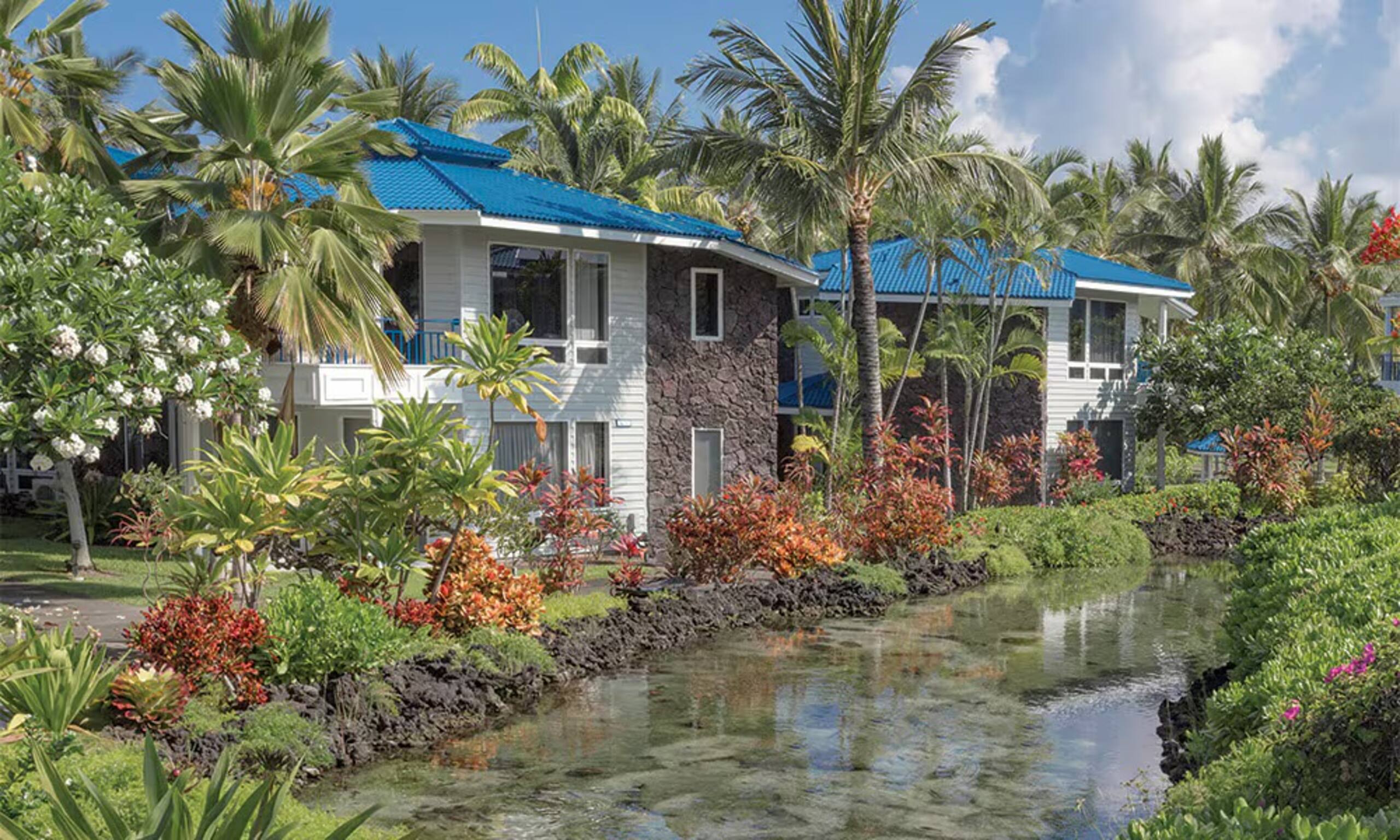 Mauna Loa Village 1BR w/ Kitchen - Photo 9