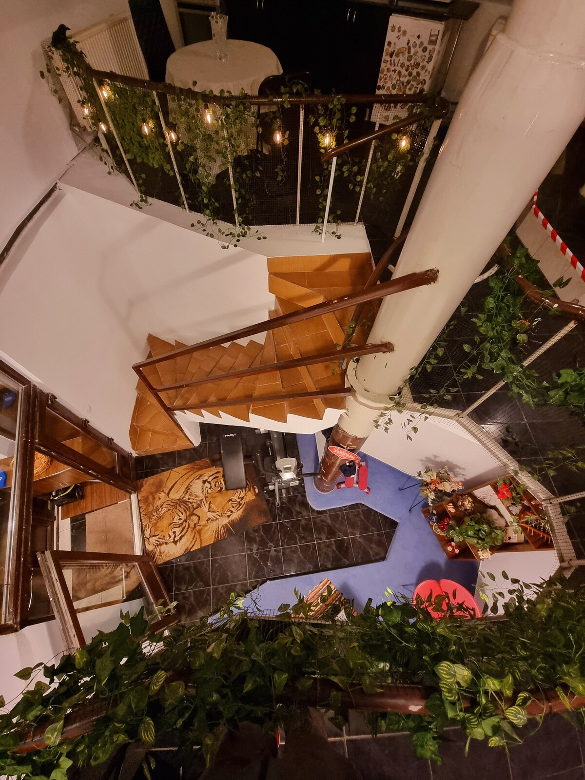 A view of the staircase connecting the levels of the duplex, featuring wooden steps and a decorative railing. Greenery adorns the edges, while a colorful rug is positioned at the base. The light fixtures above enhance the ambiance of the space.