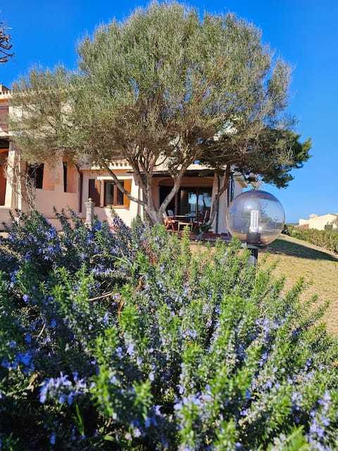 Bellavista, Stintino the hairy one