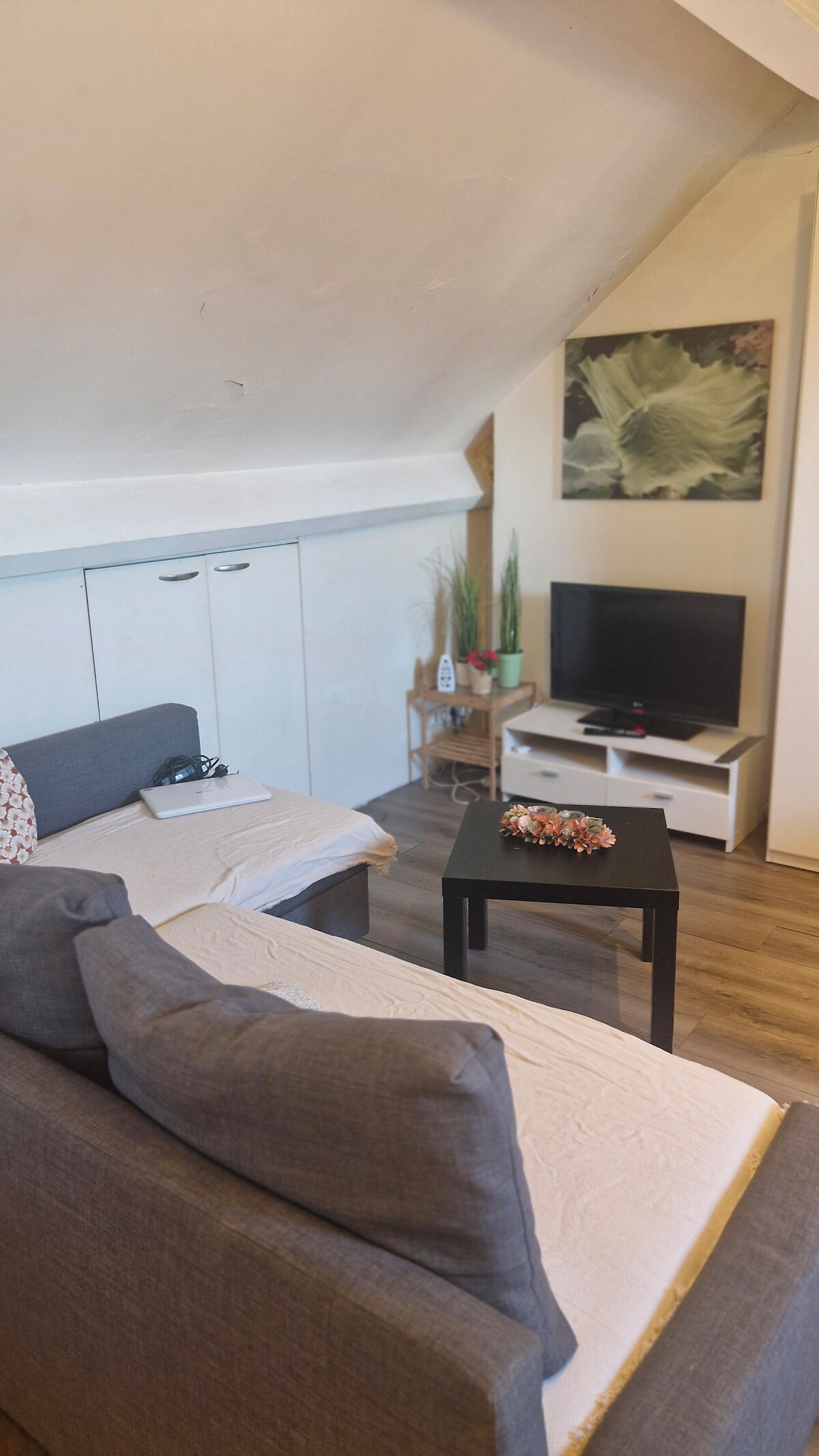 A cozy studio living area features a light grey sofa and a small black coffee table. A television is positioned on a white console against the wall, complemented by a decorative plant. The space is illuminated by natural light from the window.