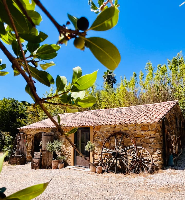 Authentique Bergerie  Spa, Piscine Et Massages - Le Beausset