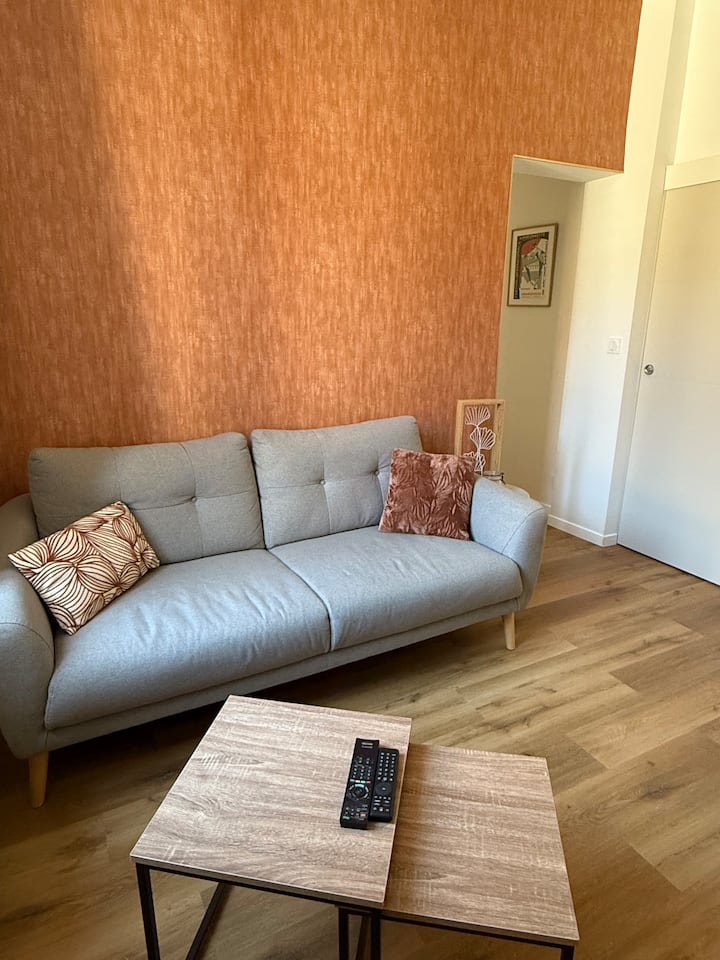 Appartement Centre Ville Avec Extérieur - ibis Charleville Mezières