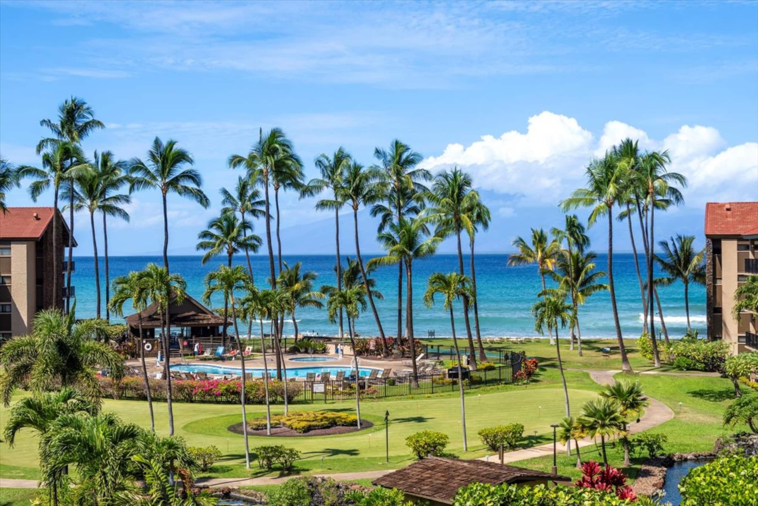 Top Floor OCEAN VIEWS - Resort - Image 25