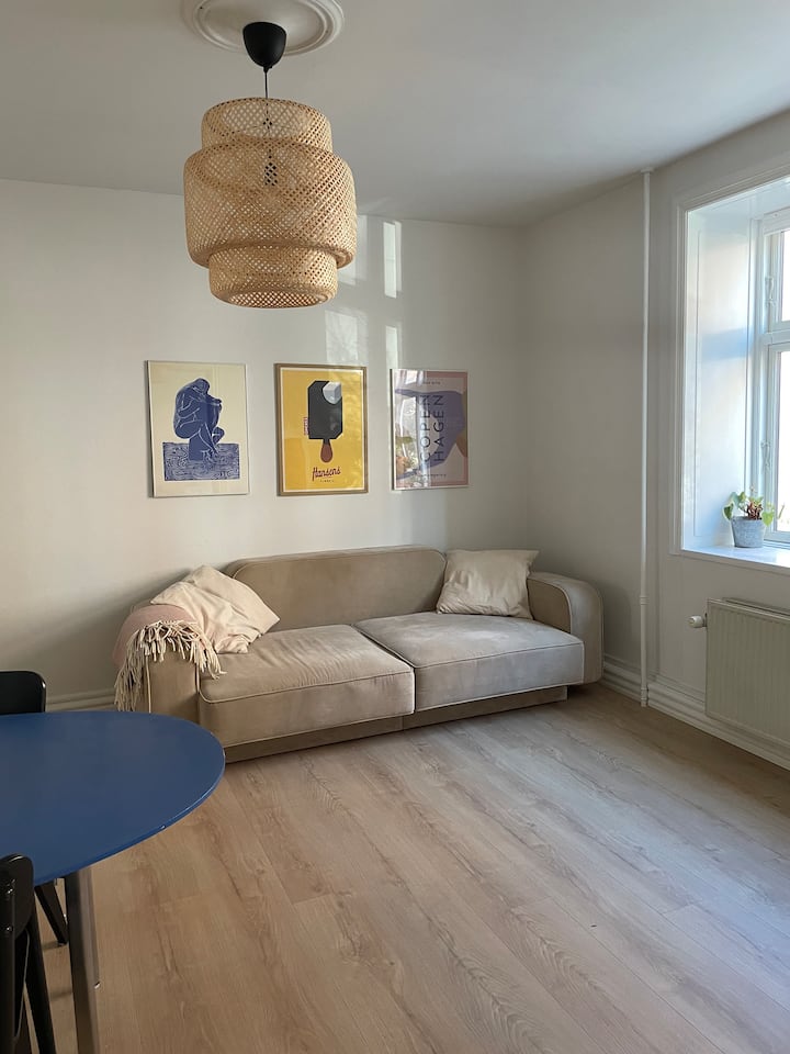 Lokal Lejlighed På Amagerbro - Copenhagen