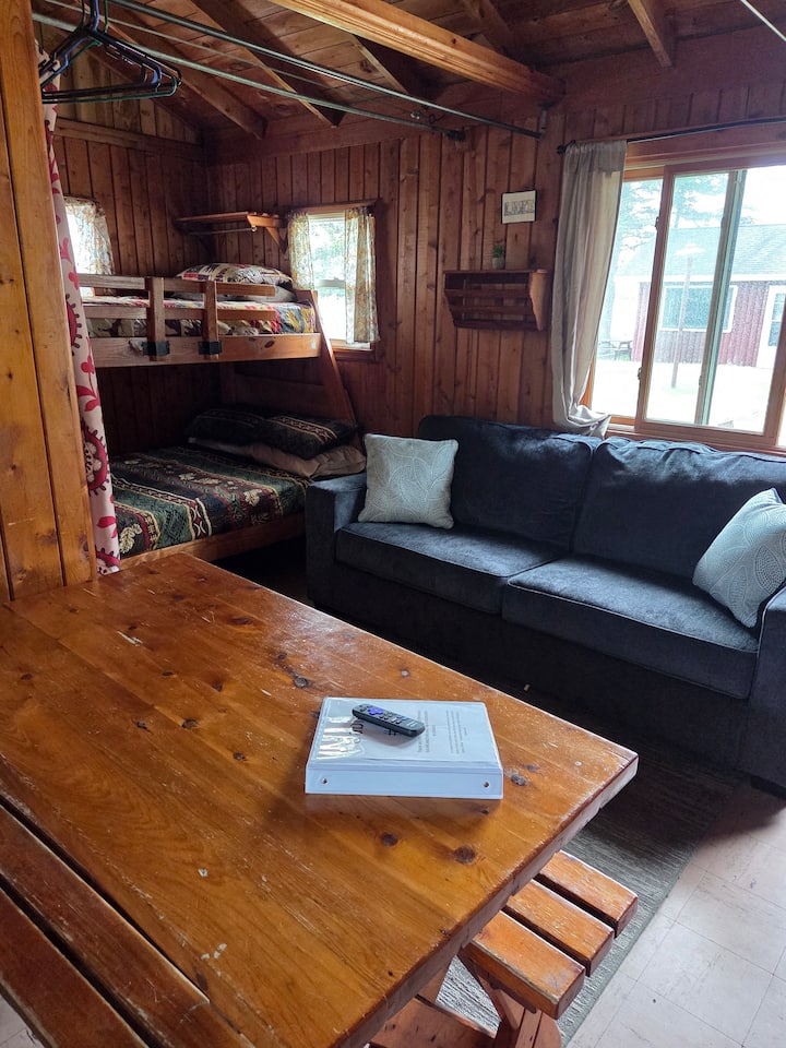 Trout Lake Resort- Cabin 3 - Trout Lake Township, MI