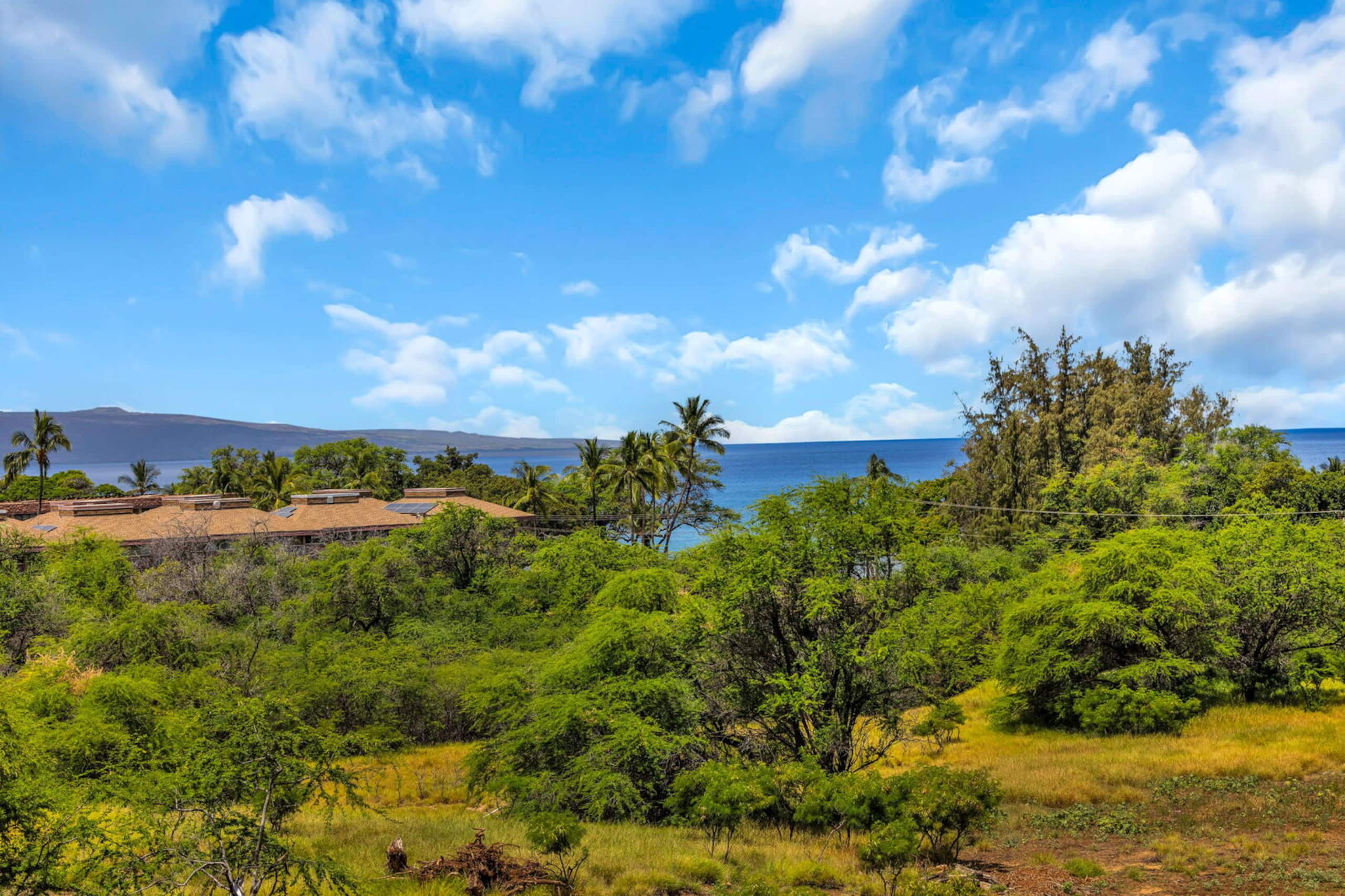 Condo in Kihei · ★4.81 · 1 bedroom · 2 beds · 1 private bath - Image 43