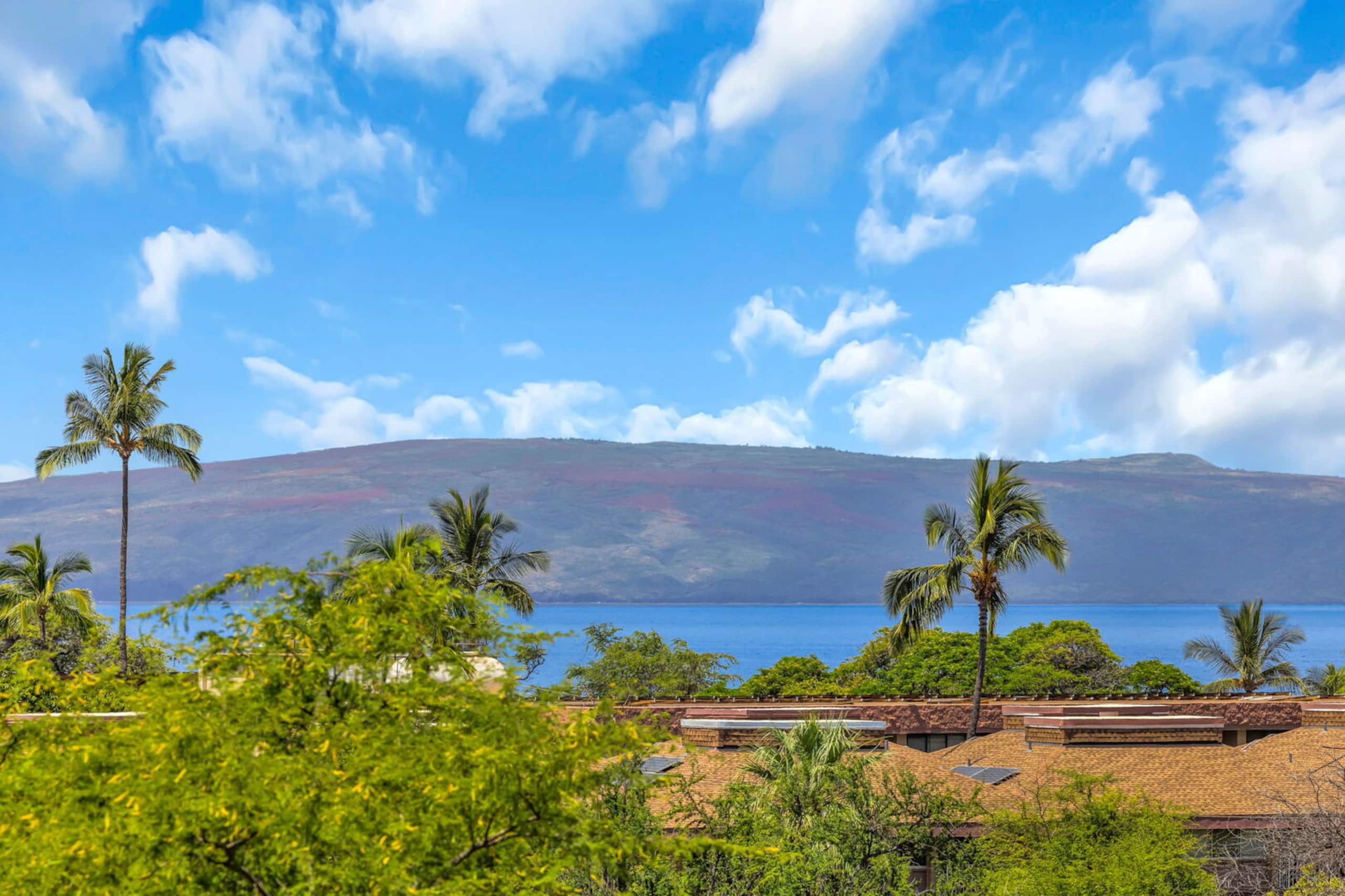 Condo in Kihei · ★4.81 · 1 bedroom · 2 beds · 1 private bath - Image 23