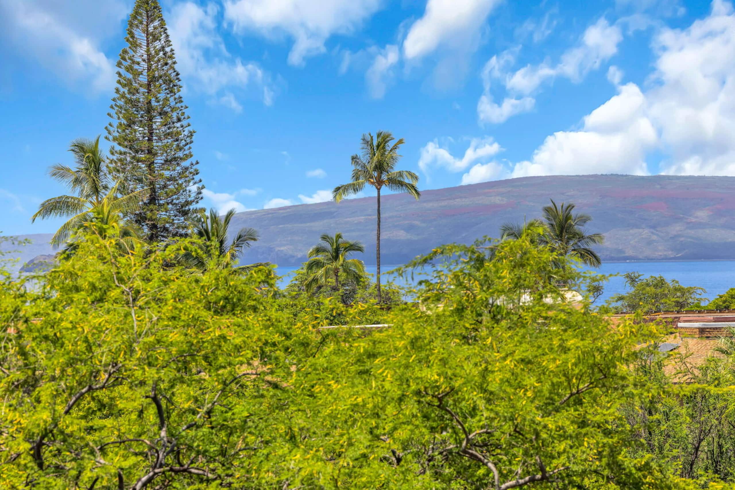 Condo in Kihei · ★4.81 · 1 bedroom · 2 beds · 1 private bath - Image 45