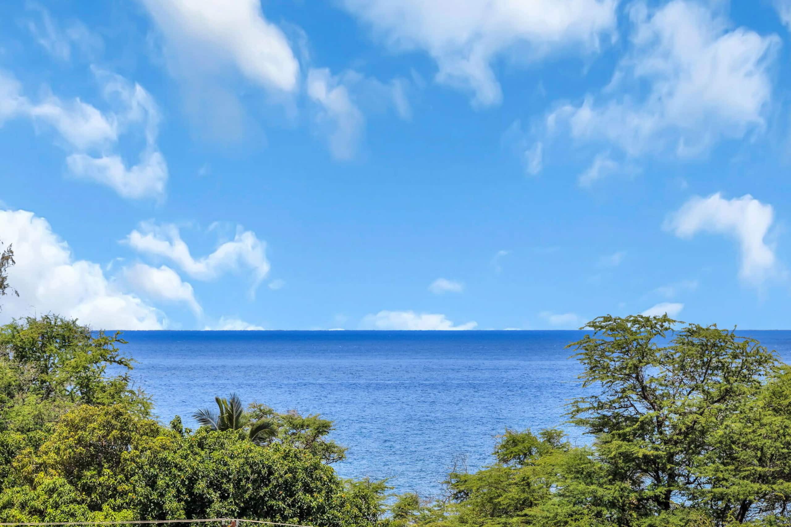 Condo in Kihei · ★4.81 · 1 bedroom · 2 beds · 1 private bath - Image 4