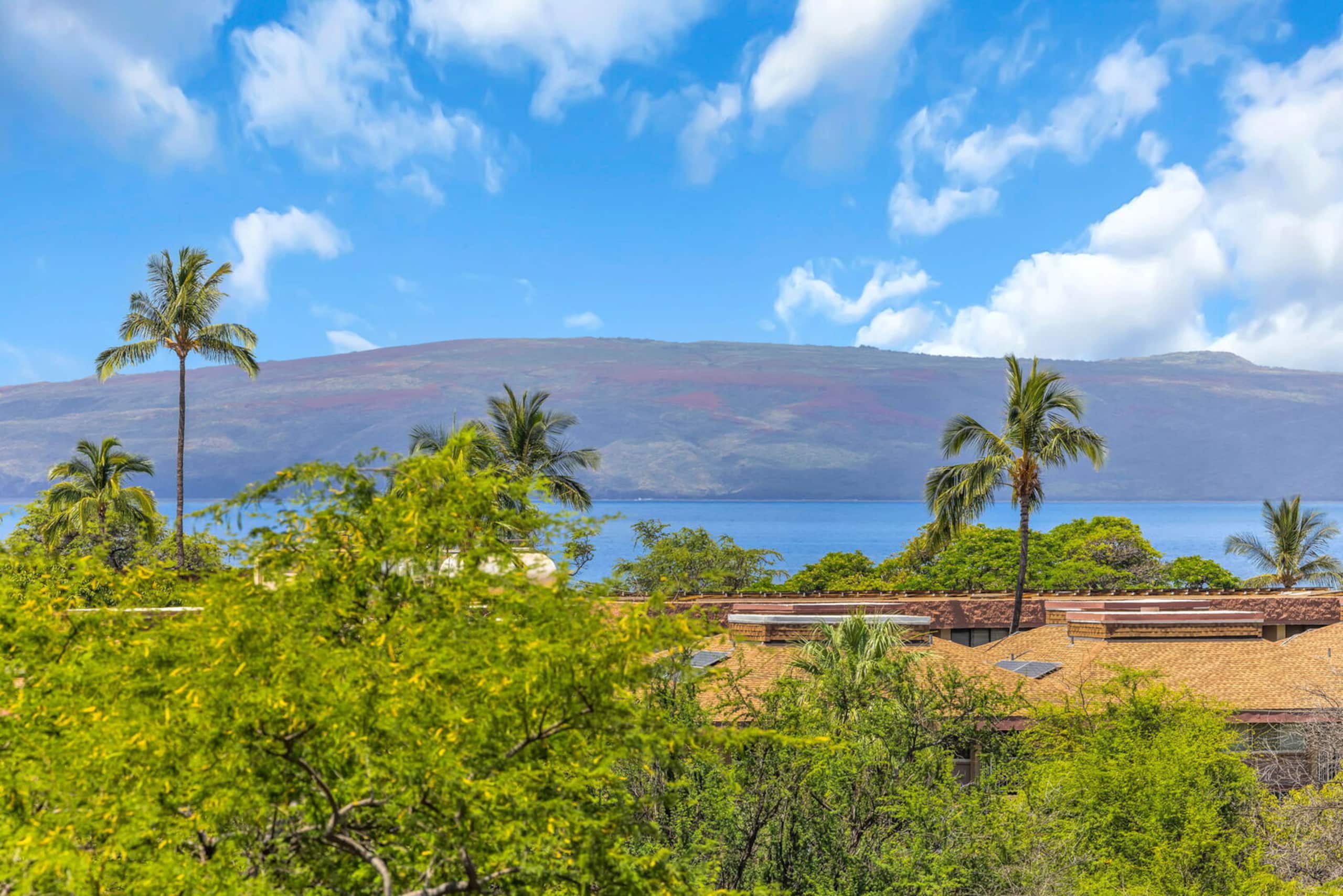 Condo in Kihei · ★4.81 · 1 bedroom · 2 beds · 1 private bath - Image 44