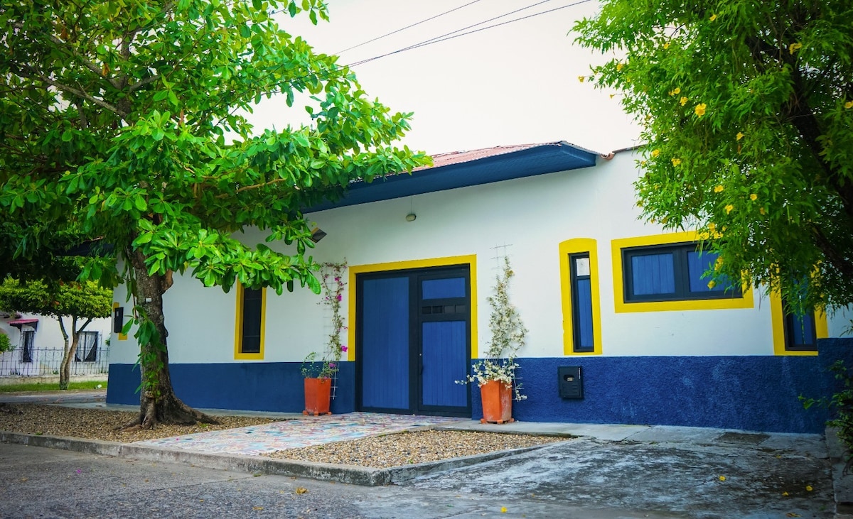 A single-story home is presented with a blue and white exterior. A large tree with lush green foliage is positioned in front, providing shade. Potted plants accent the entrance, while a decorative stone pathway leads to the front door.