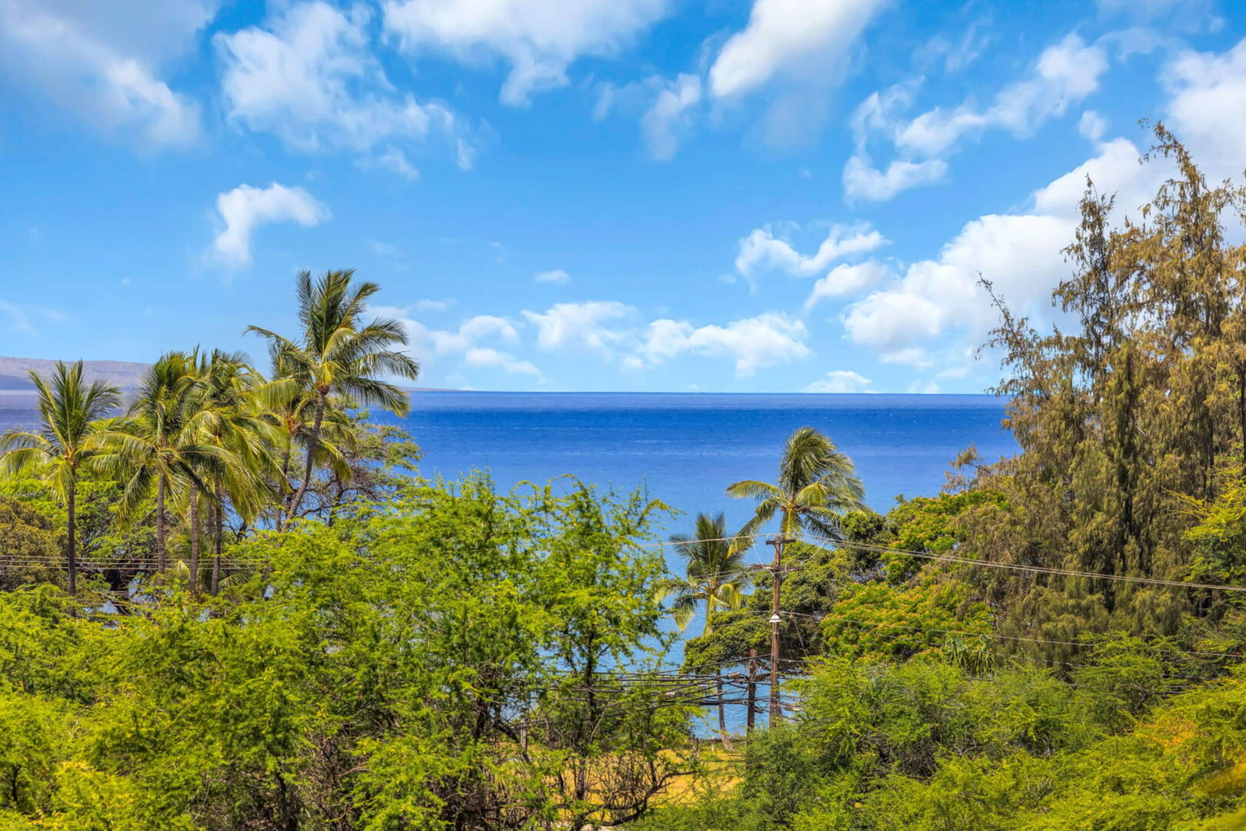 Condo in Kihei · ★4.75 · Studio · 2 beds · 1 bath - Image 11