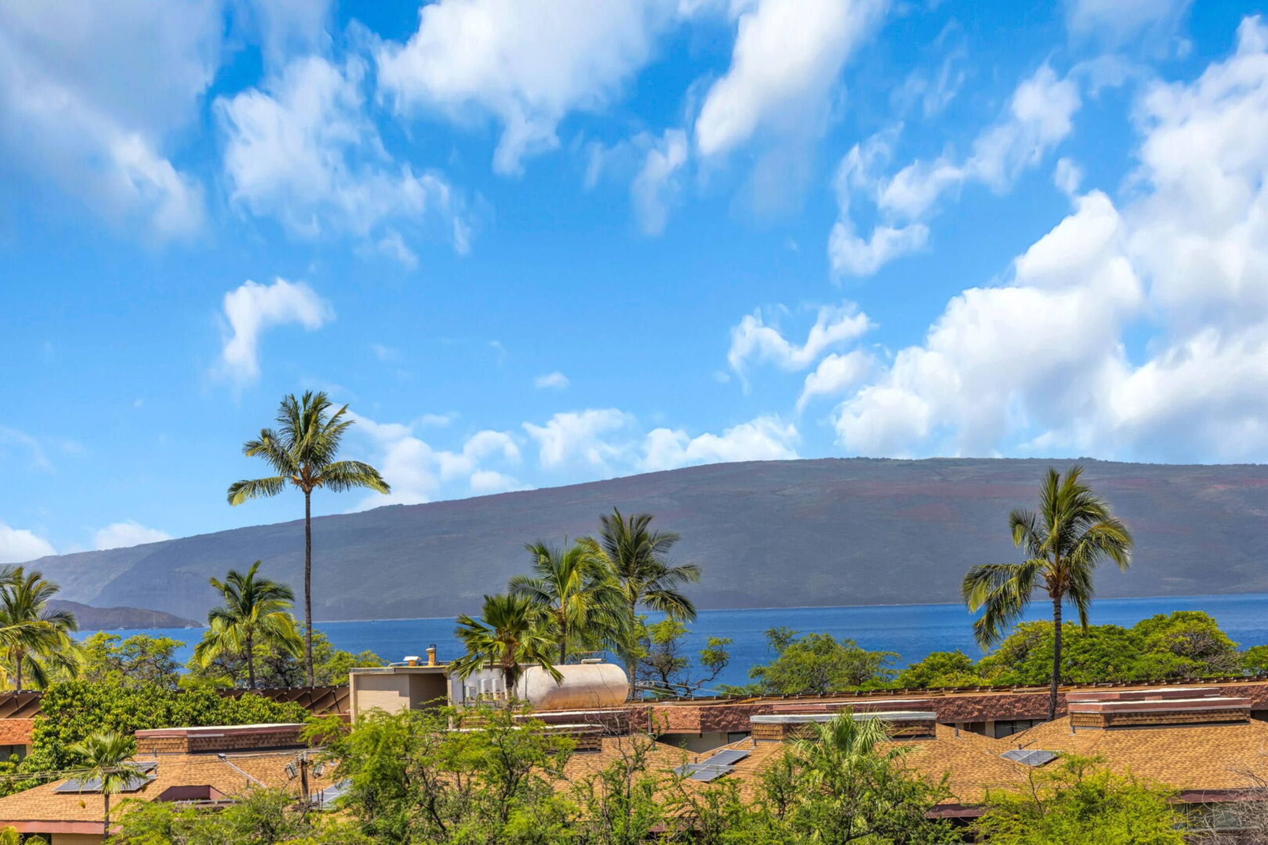 Condo in Kihei · ★4.75 · Studio · 2 beds · 1 bath - Image 14
