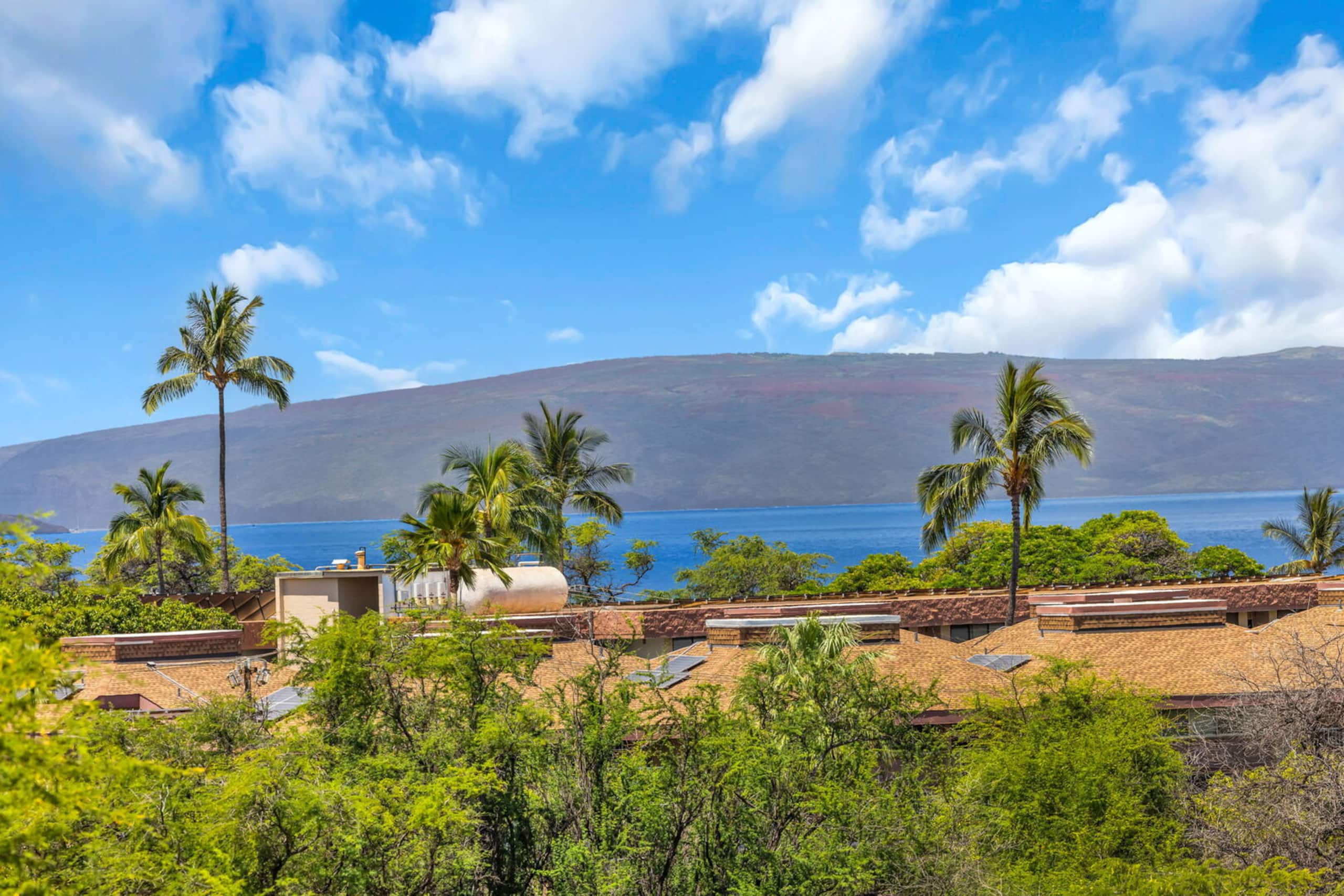 Condo in Kihei · ★4.75 · Studio · 2 beds · 1 bath - Image 13