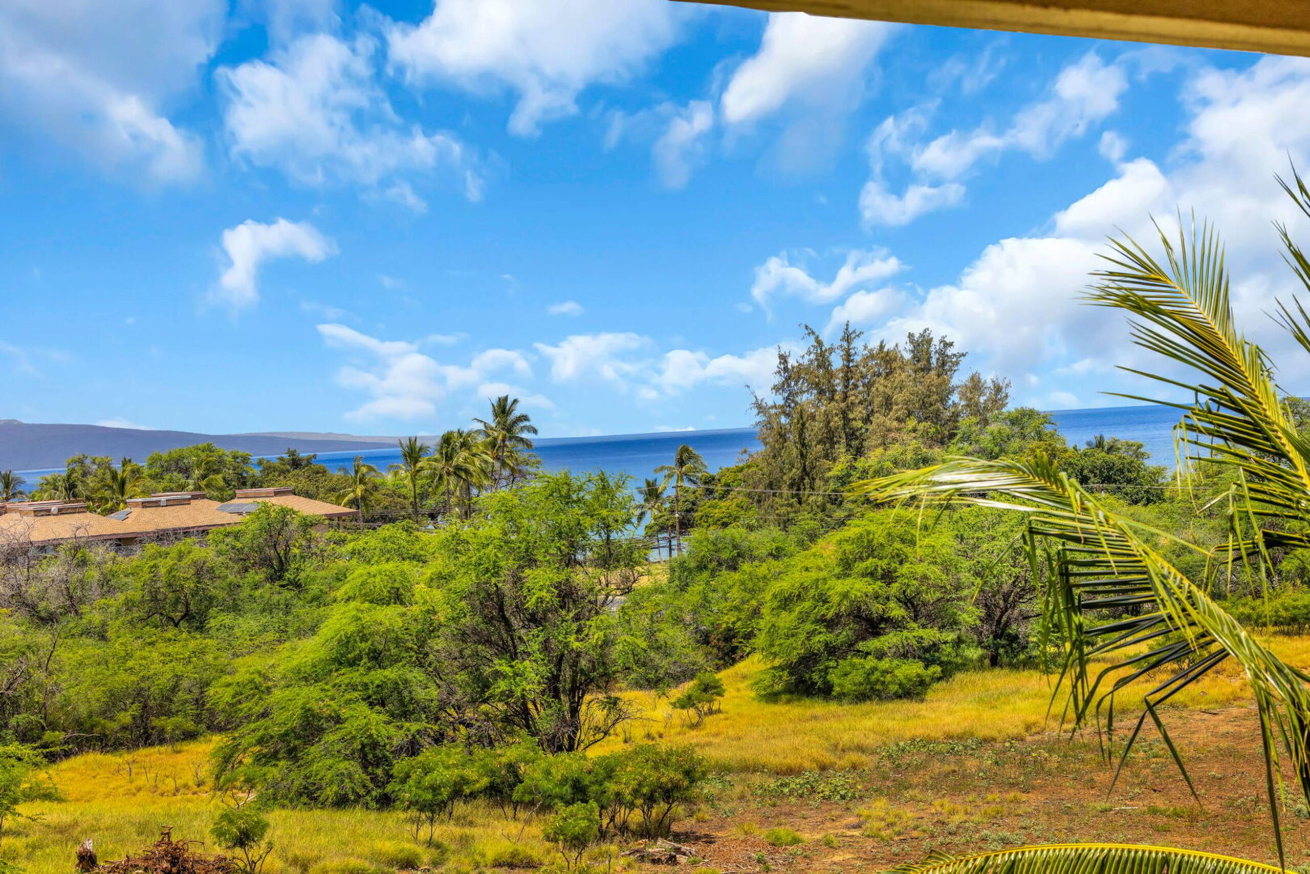 Condo in Kihei · ★4.75 · Studio · 2 beds · 1 bath - Image 12