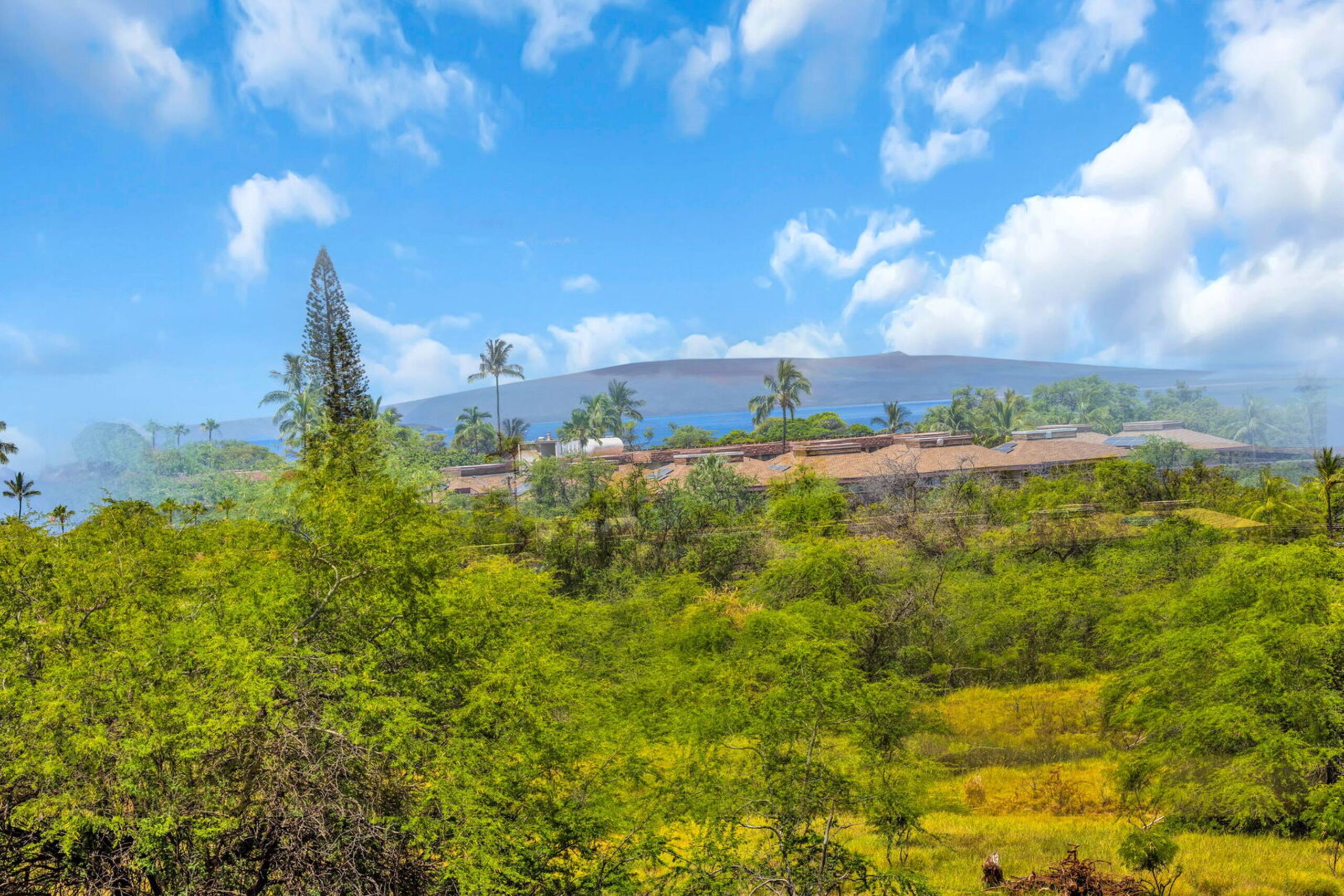 Condo in Kihei · ★4.75 · Studio · 2 beds · 1 bath - Image 15