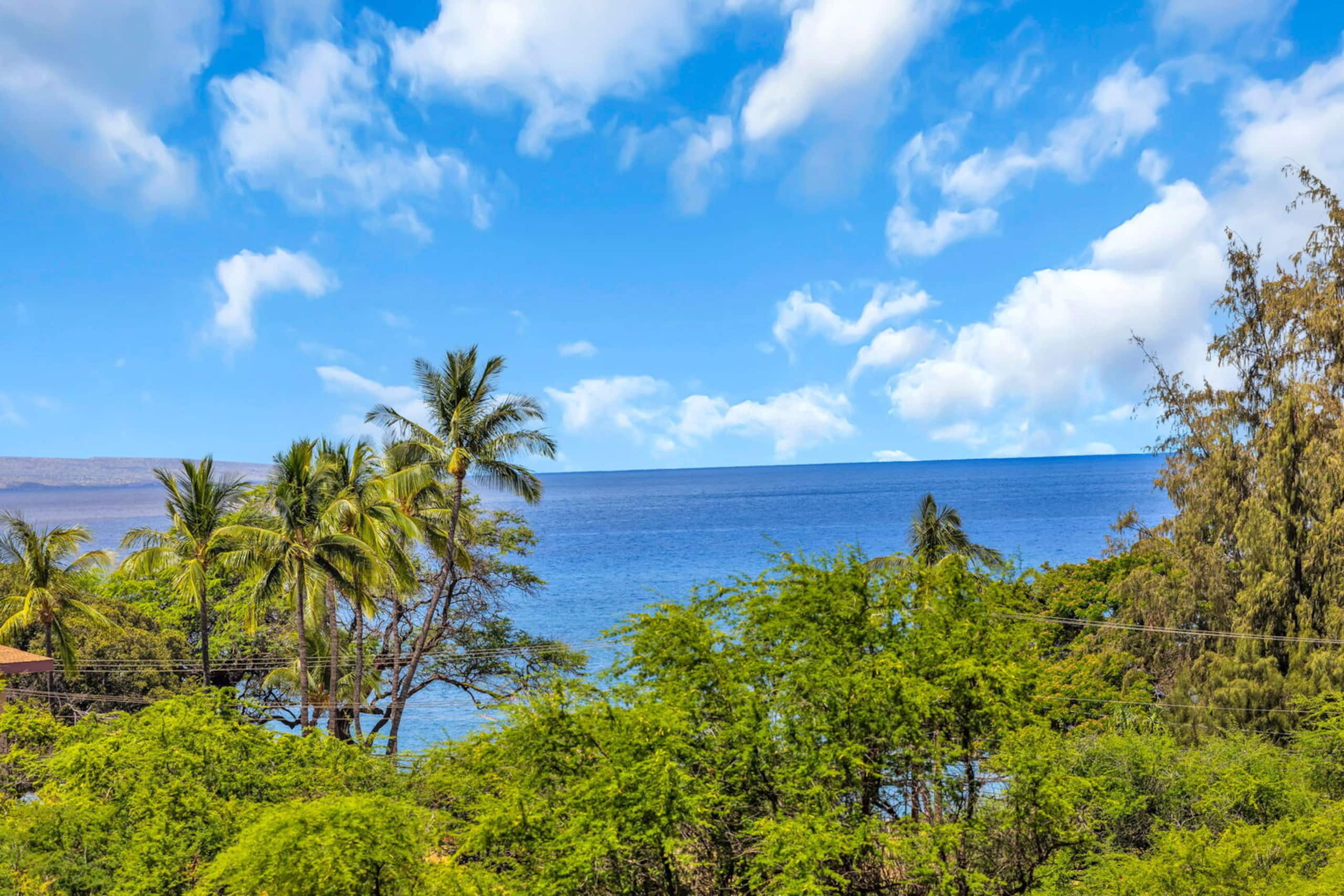 Condo in Kihei · ★4.75 · Studio · 2 beds · 1 bath - Image 4