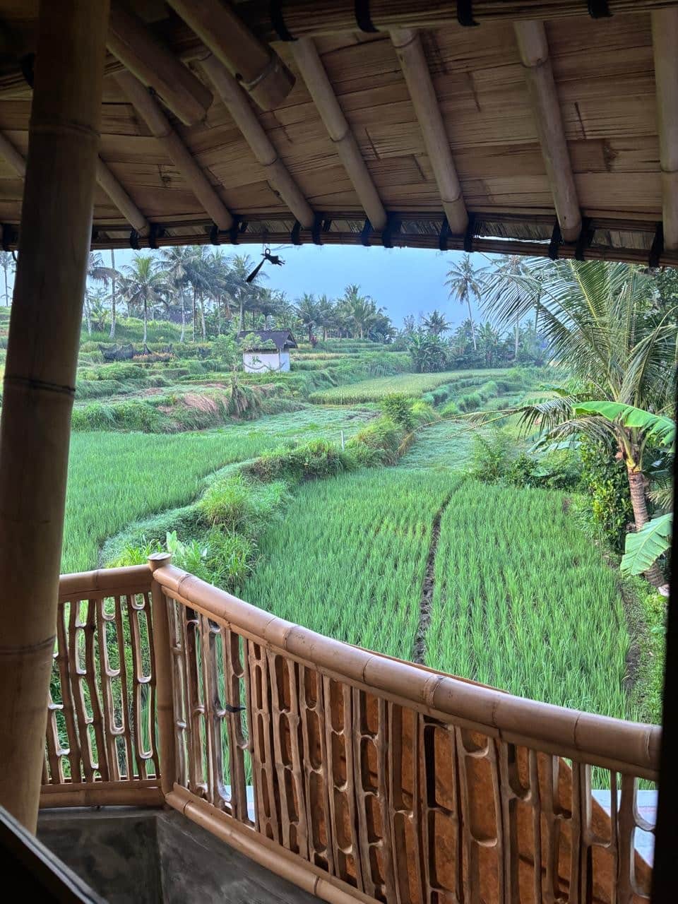 A bamboo villa in the jungle north of Ubud, Tampaksiring, Bali, Indonesia, photo 5 of 10