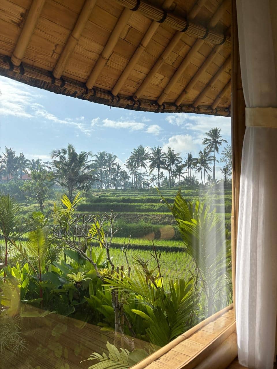 A bamboo villa in the jungle north of Ubud, Tampaksiring, Bali, Indonesia, photo 3 of 10