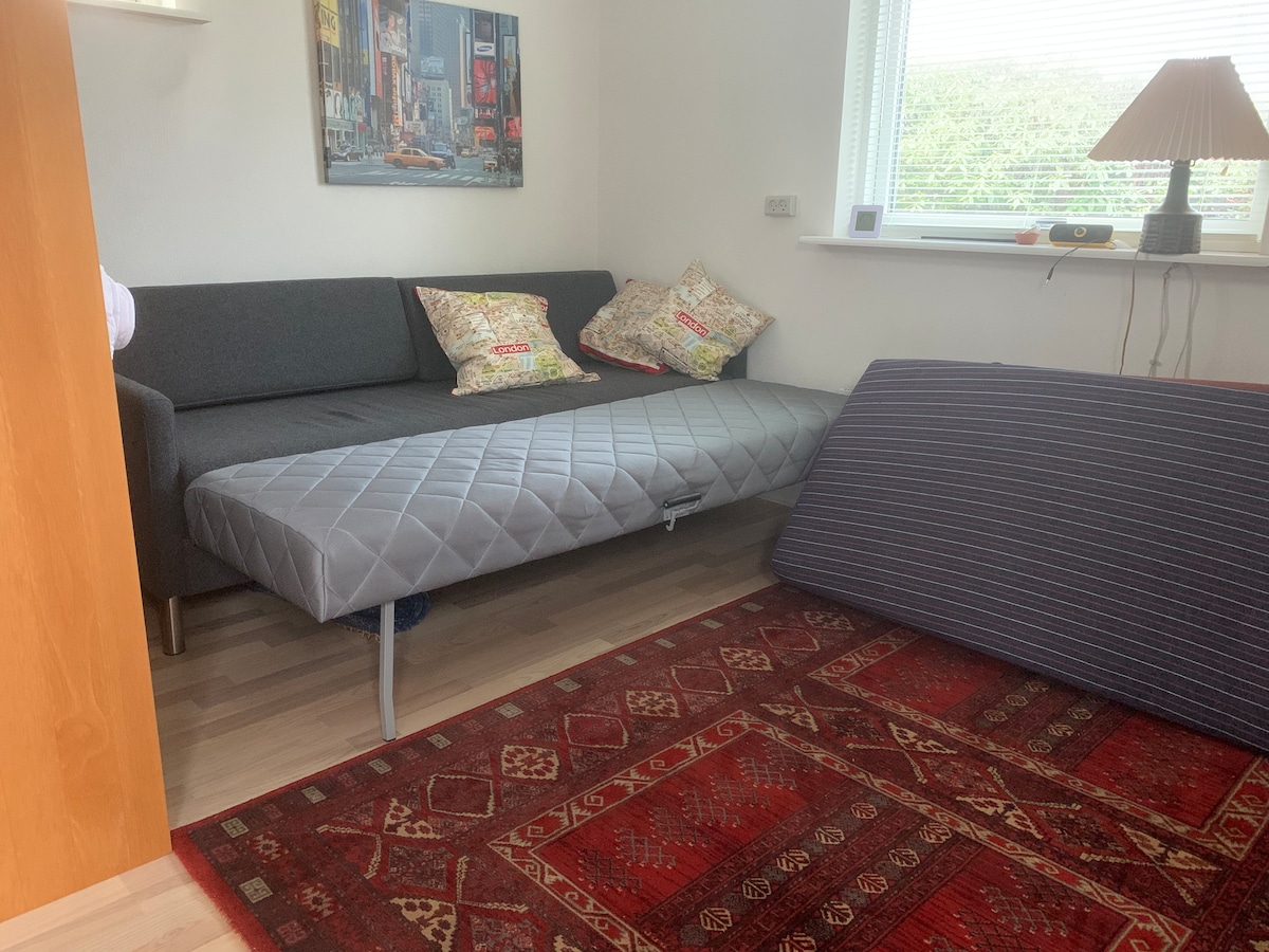 A compact seating area is presented with a gray sofa adorned with decorative cushions. Nearby, a folding mattress lies on the floor, complementing the textured red area rug. Natural light filters through a window, providing a bright and welcoming environment.