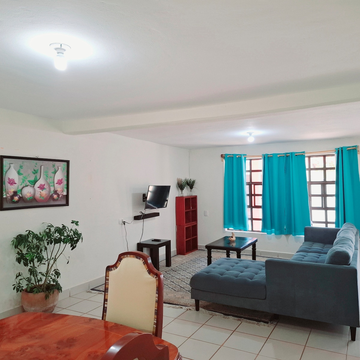 A light-filled living space features a comfortable gray sectional sofa and a wooden coffee table, complemented by decorative plants. Bright blue curtains frame the window, while a flat-screen TV is mounted on the wall. A dining area showcases a wooden table and chairs.