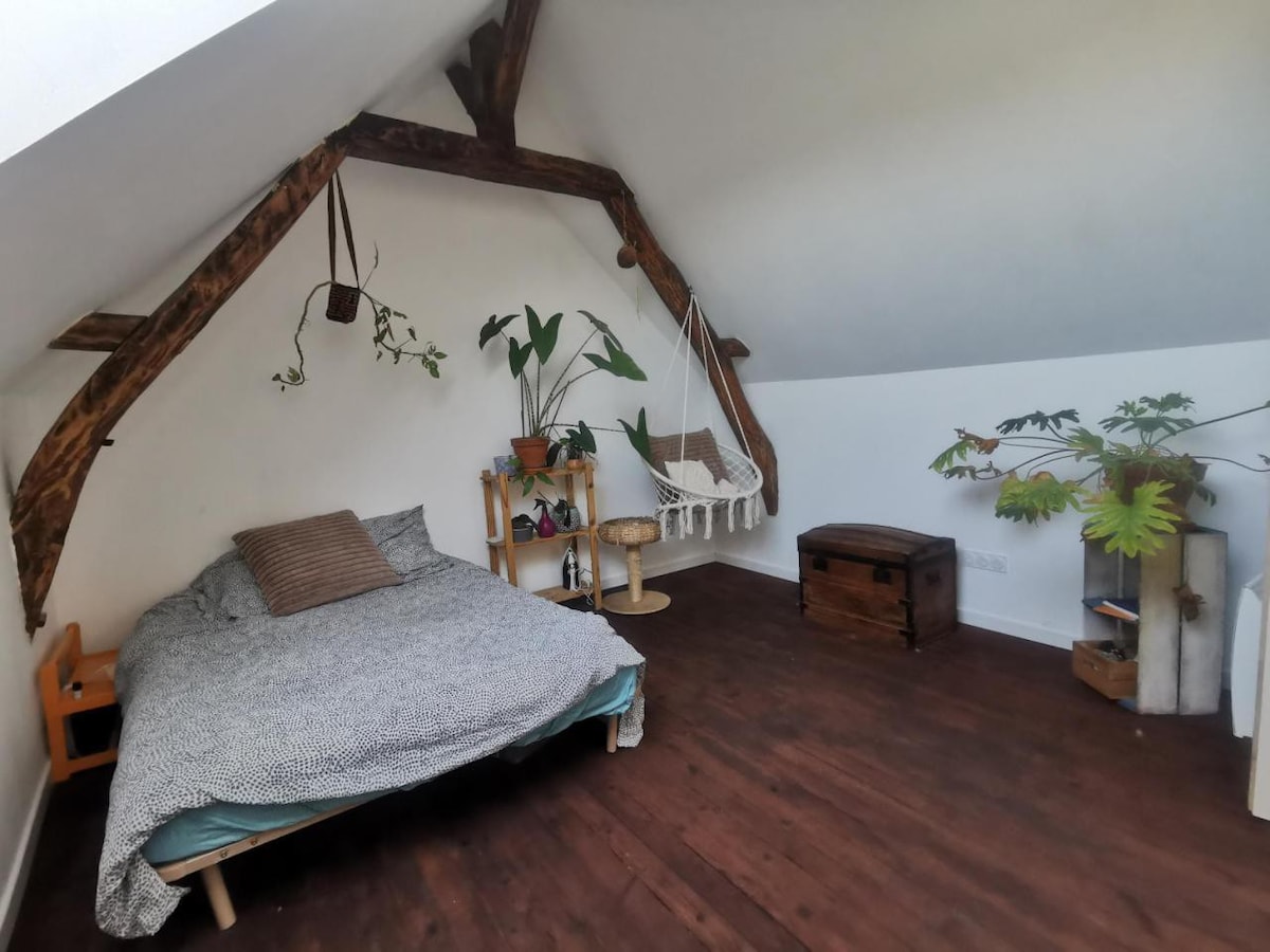 A spacious sleeping area features natural wood beams and a large bed with a textured duvet. Potted plants add greenery to the ambiance, while a cozy hammock is suspended from the wall. A wooden chest and a plant stand provide additional character.