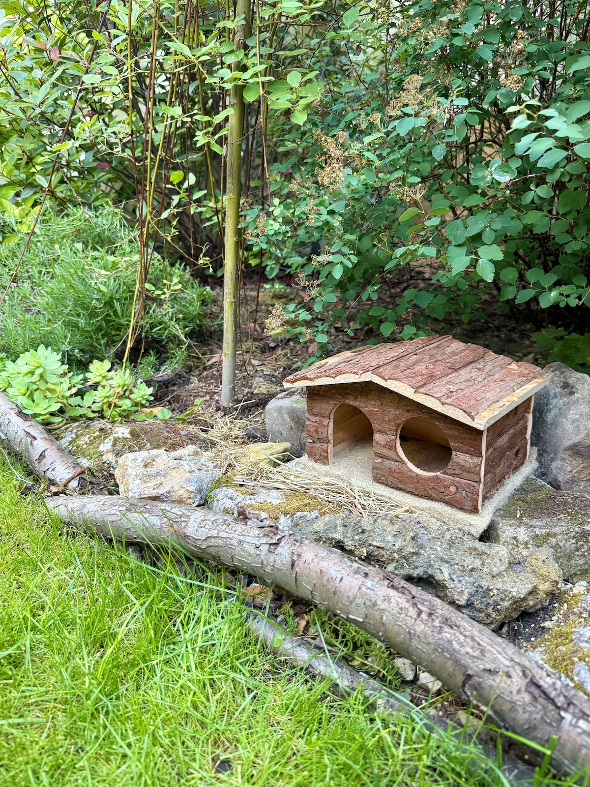 A wooden animal shelter is positioned among green shrubs and grasses, featuring a natural rustic design with two openings. The surrounding area includes rocks and a fallen branch, contributing to the garden's peaceful ambiance.