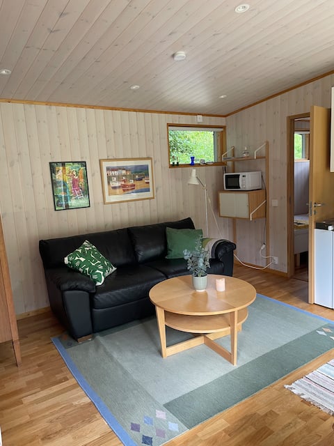 Successful Airbnb property: Guesthouse near lake in beech forest in Hässleholm
