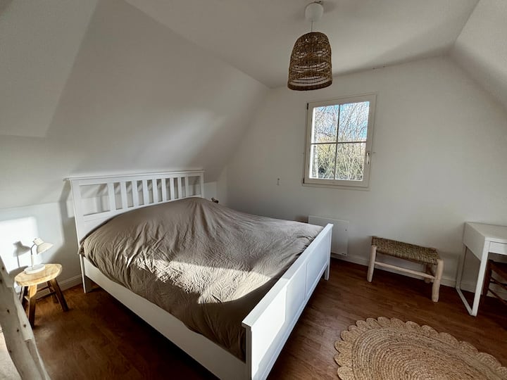 Quarto 1