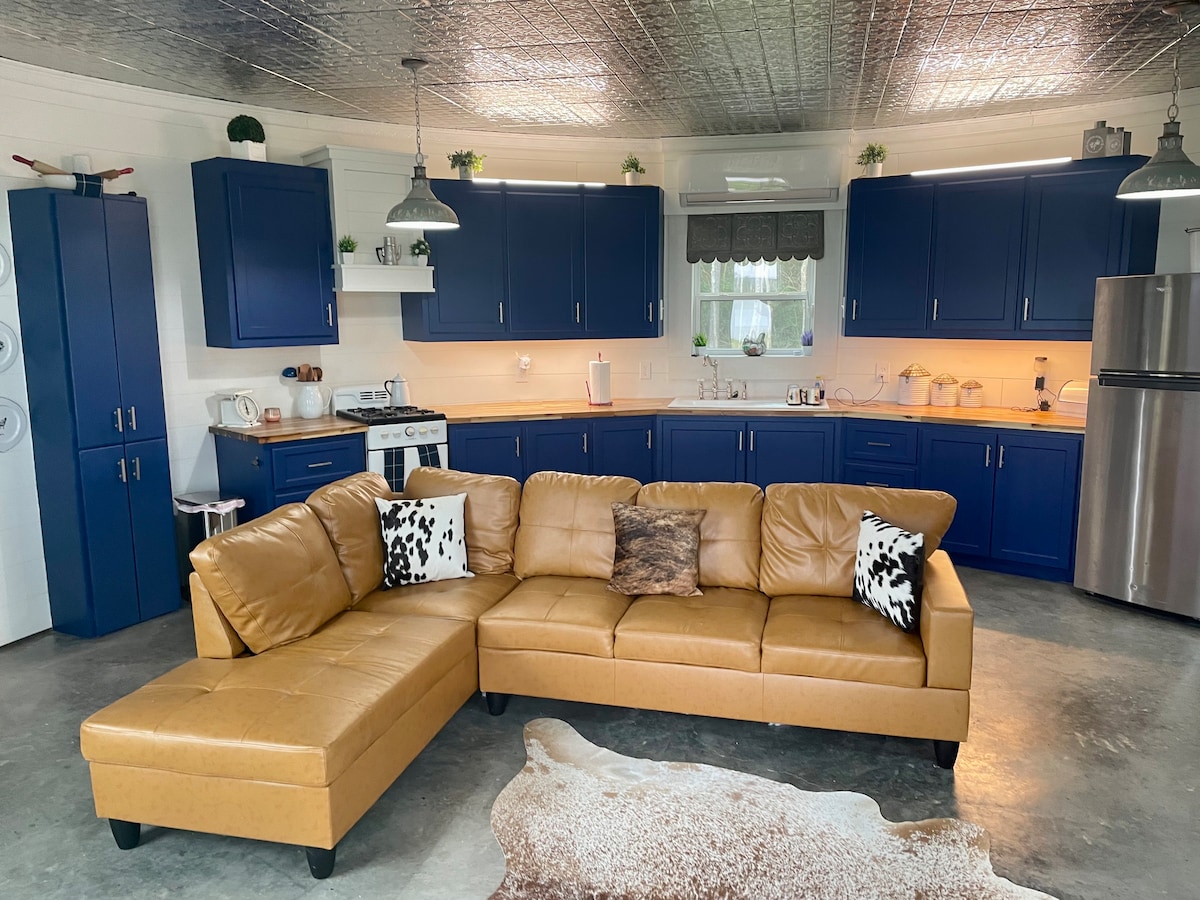 A modern kitchen area features bold navy-blue cabinetry and a spacious corner sofa in a warm tan hue. Decorative plants are placed on shelves, while subtle lighting creates a welcoming ambiance. A rustic area rug complements the design, enhancing the room's overall appeal.