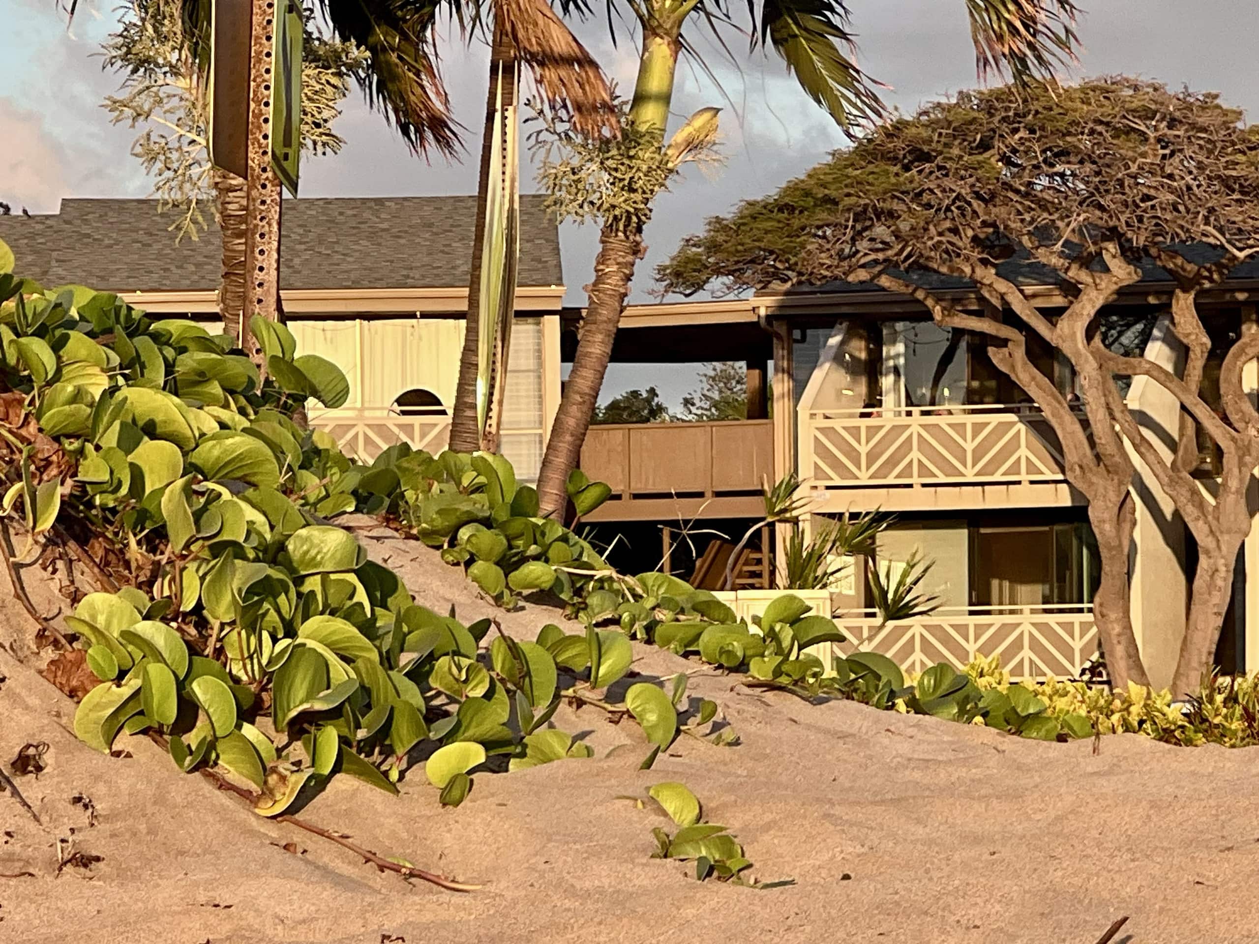 Modern Oceanview! AC, Beach, Pool, Hot Tub! - Image 35