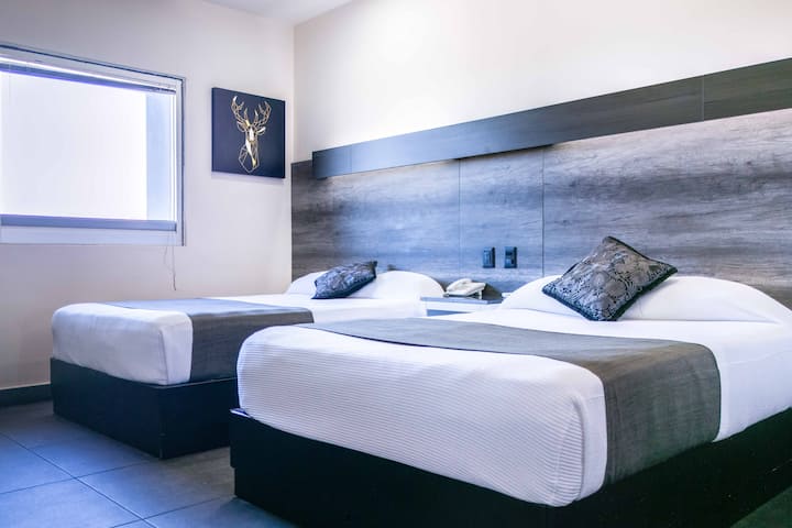 Junior Suite Homesuites Malecon