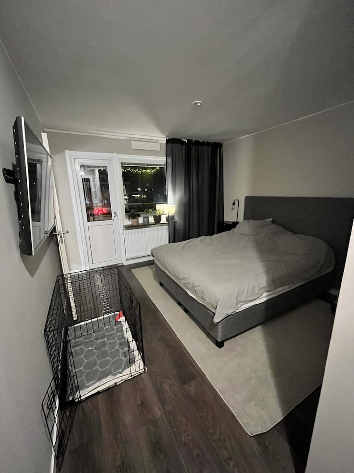 საძინებელი 1