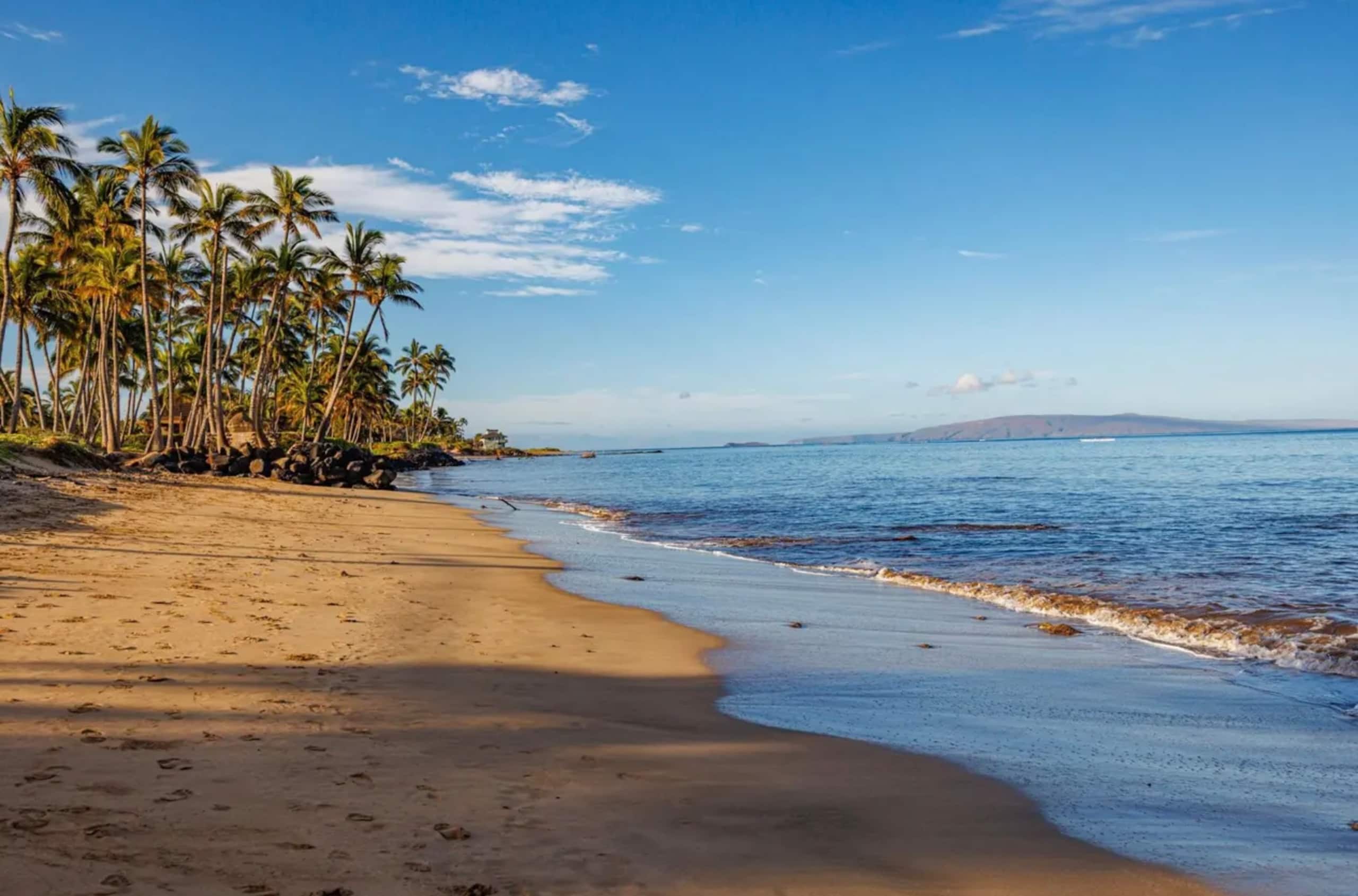 Bargain special OceanView Epic Location 2BD/2BA - Image 29