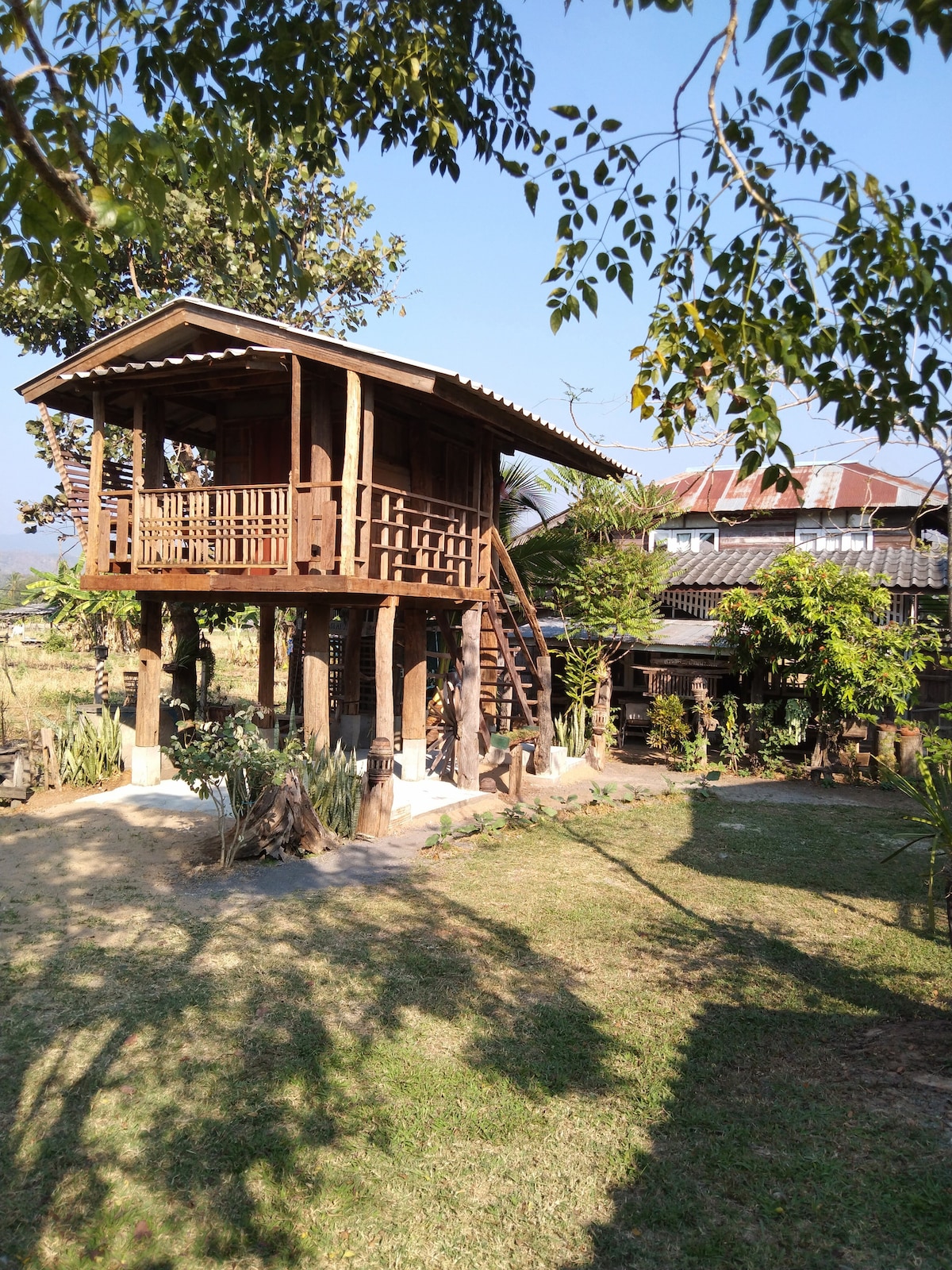 A rustic wooden structure is elevated on stilts, surrounded by a grassy area and trees. A staircase leads to a spacious balcony, offering views of the surrounding landscape. Nearby, various plants and shrubs contribute to the natural setting of the getaway.